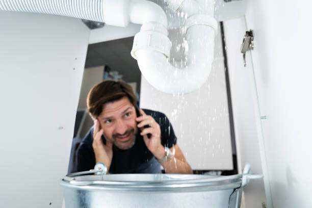 Best Local Plumber Services  in Adrian, MN