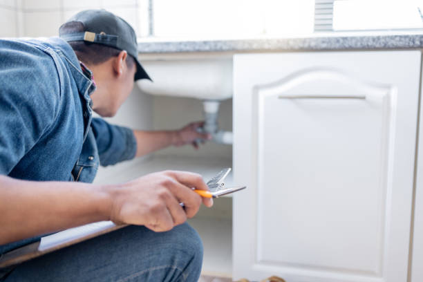 Best Commercial Plumbing Services  in Adrian, MN